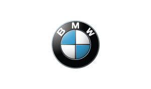 Dawn Ford Voice Over Actor bmw logo